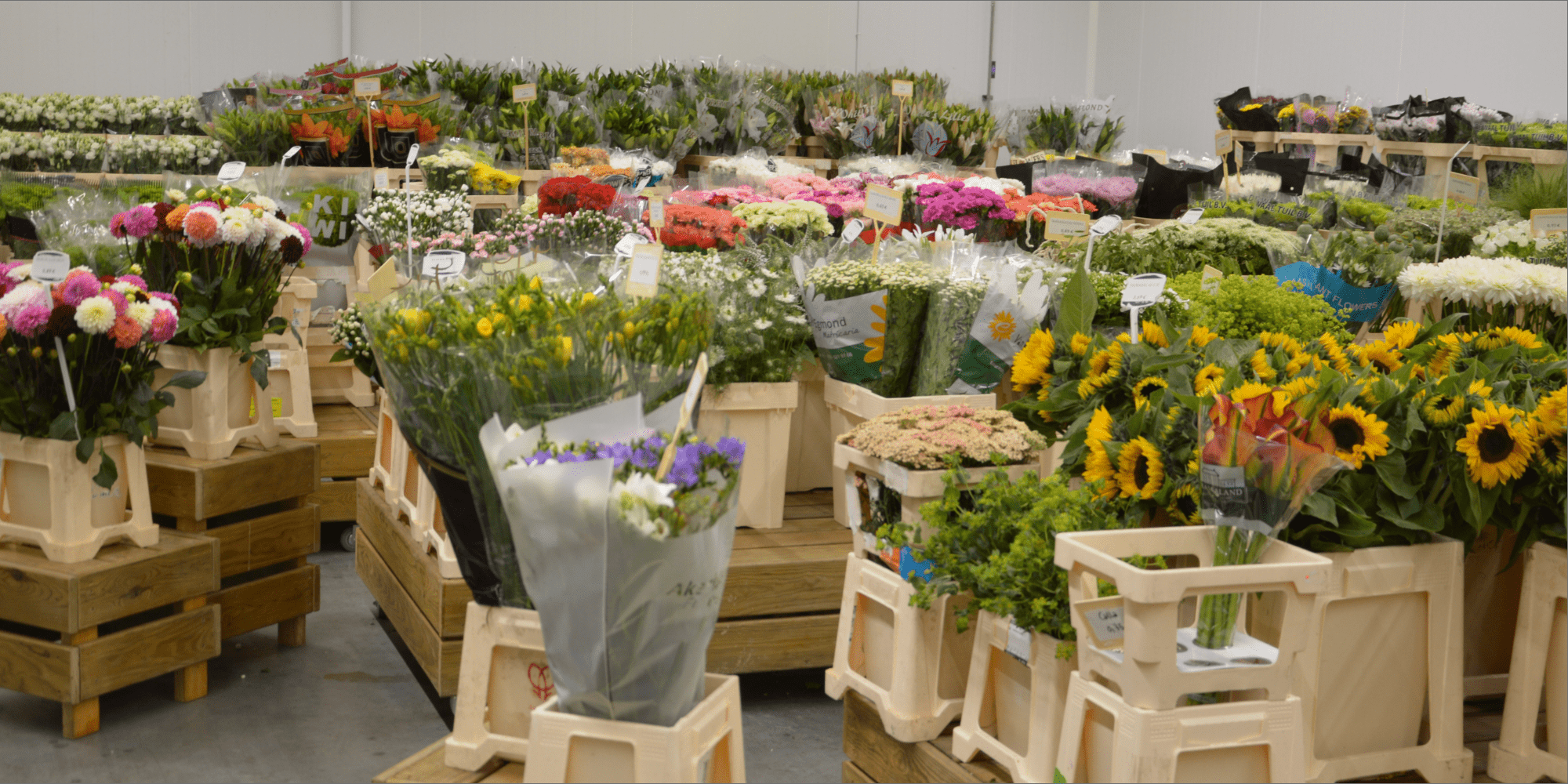 Jewelry crafting detail