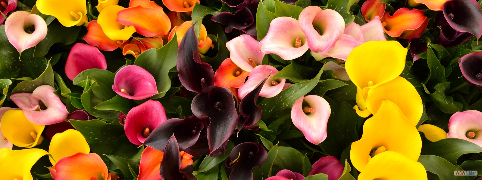 Handcrafted gold necklace